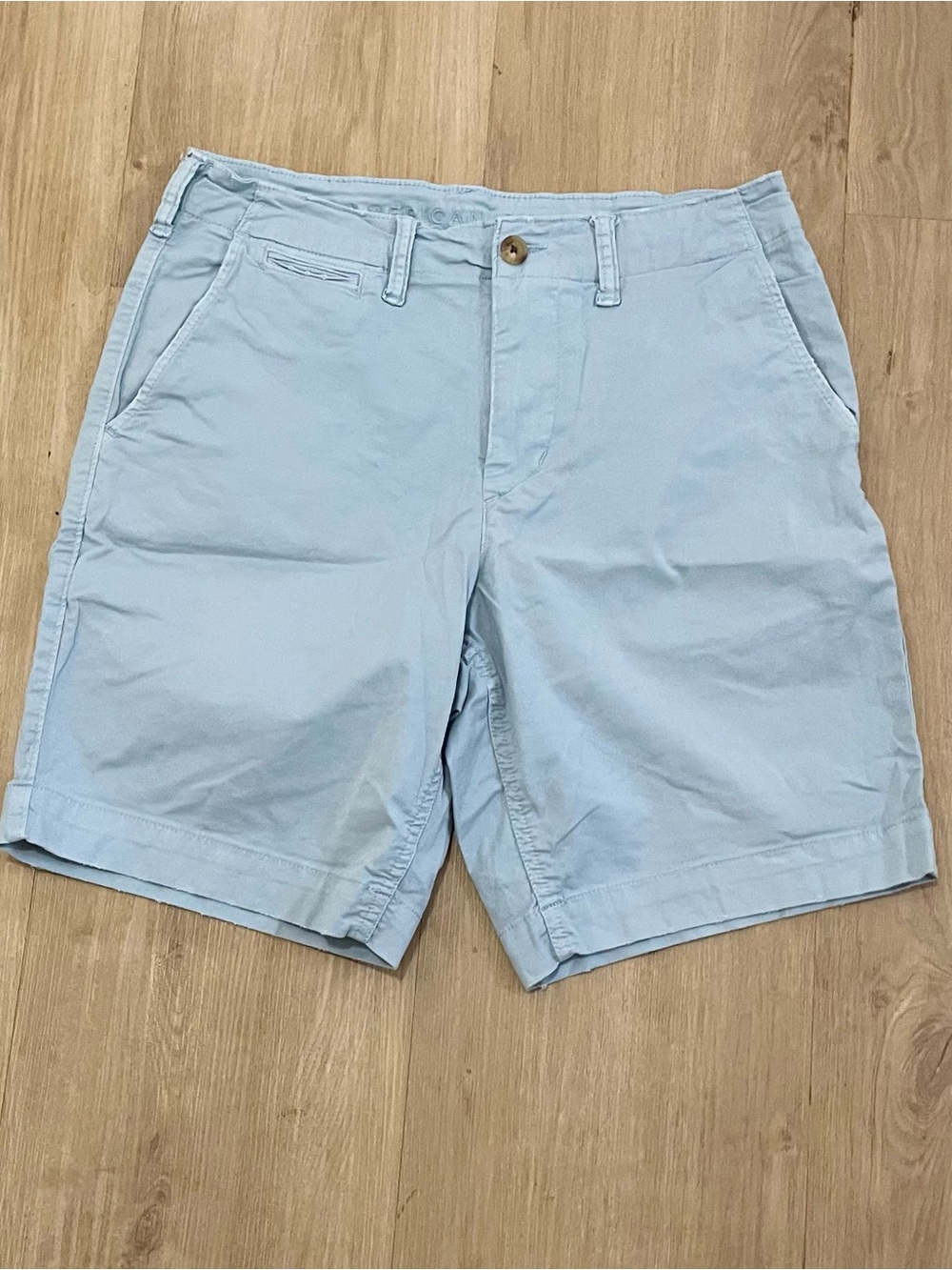 American Eagle Outfitters Light Blue Flat Front Cotton Shorts